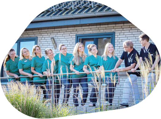 Unser Team von zahnmedizinischen Fachkräften vor unserer Praxis – mögliche Karrierechancen im Bereich Zahnmedizin. Komm in unser Team.